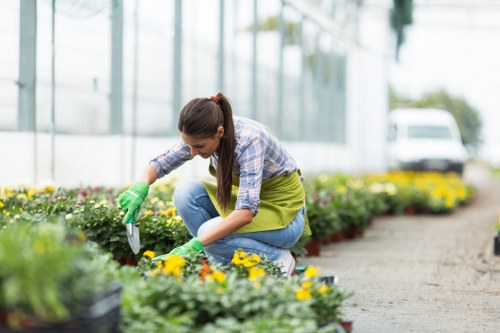 A young woman wearing a plaid shirt, jeans, and green gardening gloves is crouched down in a well-maintained garden, tending to colorful flowering plants. The garden features neat flower beds edged with soil, containing yellow, purple, and pink blooms, with a gravel pathway running alongside. In the background, there are large glass greenhouse panels and a blurred view of trees and a parked vehicle, indicating a landscaped outdoor space within a gardening or landscaping setting near Swiss Cottage, London. The scene is lit by natural daylight, suggesting a mild weather day, and the overall environment reflects careful outdoor maintenance typical of professional gardening services offered by companies like Landscapers Swiss Cottage.