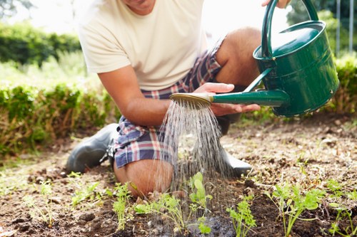 A person kneeling in a garden lawn area during daytime, watering young green plants with a green plastic watering can. The garden features a well-maintained grassy lawn in the foreground, with fresh, small plants emerging in neat rows. Behind the plants, there is a border of soil and mulch, and in the background, lush shrubbery and trees are visible under a clear sky. The individual is wearing a light-colored t-shirt and plaid shorts, focusing on outdoor gardening activities that support healthy plant growth, consistent with professional gardening and landscaping services in the Swiss Cottage area. The scene highlights the care and attention involved in maintaining a vibrant garden environment, suitable for outdoor lawn and plant care tasks provided by Landscapers Swiss Cottage.