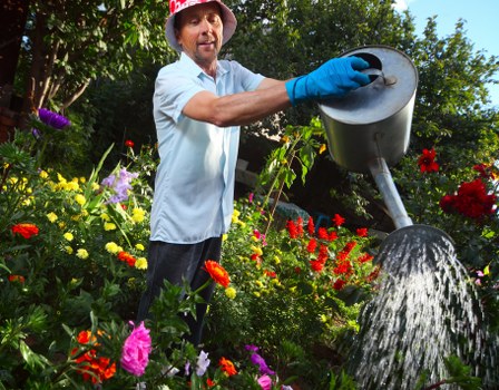 The image depicts a man in a garden with a variety of colorful flowers and lush green foliage, watering plants from a black watering can. He is wearing a light blue shirt, dark trousers, and a red hat, with blue gloves on his hands. The garden is well-maintained, featuring dense flower beds with red, yellow, pink, and purple blossoms, bordered by neatly trimmed greenery. In the background, there are trees and shrubs, with natural sunlight illuminating the outdoor space, creating a vibrant and healthy appearance typical of a landscaped garden in the Swiss Cottage area. The scene emphasizes outdoor gardening activities, reflecting professional lawn and garden care services offered by Landscapers Swiss Cottage for enhancing outdoor spaces across the region, including NW3 postcode area.