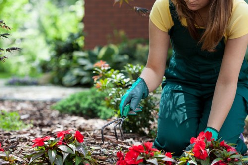 Eco-friendly garden elements in Swiss Cottage