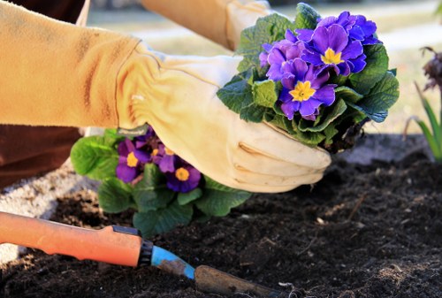 Professionals designing a garden layout