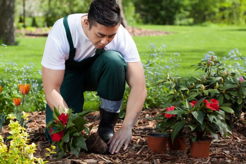 A person engaged in gardening activities in a well-maintained outdoor garden area, kneeling on mulch-covered soil while planting or tending to potted and garden-grown flowering plants with red and pink blossoms. The background reveals a lush, green lawn, mature trees, and neatly trimmed hedges, indicating a landscaped residential garden. The garden features a variety of plants, including flowering shrubs and small plants with colorful blooms, set against a backdrop of vibrant green grass and trees under natural daylight. The person is dressed in casual gardening attire, including a white T-shirt and dark pants, with gloves to protect their hands. The scene captures the outdoor environment during a clear, bright day, highlighting the careful and attentive gardening work that complements professional landscaping and garden maintenance services. This image is associated with gardening expertise in Swiss Cottage, London, and reflects the careful arrangement of garden elements and plant care typical of local landscaping projects by Landscapers Swiss Cottage.