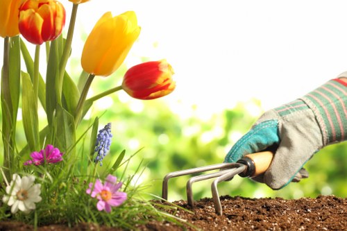 Sustainable landscaping with native plants