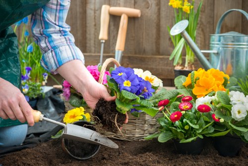 The image shows a gardener’s hand planting a colourful flowering plant with purple, yellow, and pink blooms into prepared dark, rich soil within a garden bed. The garden features a variety of potted flowers, including yellow and red blossoms, arranged at the edge of the bed near a wooden fence. Gardening tools such as a small trowel are visible, along with a watering can and other plant containers, indicating ongoing planting work. The scene is outdoors, with natural daylight illuminating the vibrant plant colours and the textured surface of the soil. The gardener is wearing a blue plaid shirt, and the surrounding environment suggests a well-maintained garden space, typical of residential outdoor landscaping. This setting highlights gardening activities that are common for enhancing garden aesthetics and promoting healthy growth, in line with services provided by Landscapers Swiss Cottage in the local area near London, UK, including garden planting and landscape improvements.