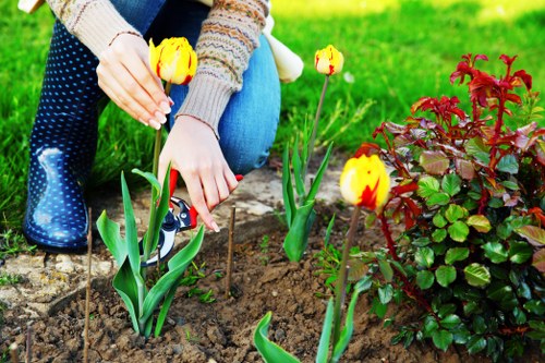 A gardener's hands, wearing a grey and multicoloured knitted sweater and blue jeans, are planting yellow and red tulips in a well-maintained garden bed. The garden features rich, dark soil bordered by a low stone edging and surrounded by lush, neatly trimmed green grass. To the right, there is a dense shrub with red and green leaves, adding colour contrast to the scene. In the background, a paved patio area with grey stone slabs is visible, alongside a backdrop of mature trees and bushes under natural daylight with soft, diffused lighting, suggesting a bright and pleasant day. The overall setting depicts a carefully tended outdoor space, characteristic of residential gardens in the Swiss Cottage area, with attention to planting and landscaping details typical of professional gardening services provided by companies like Landscapers Swiss Cottage.