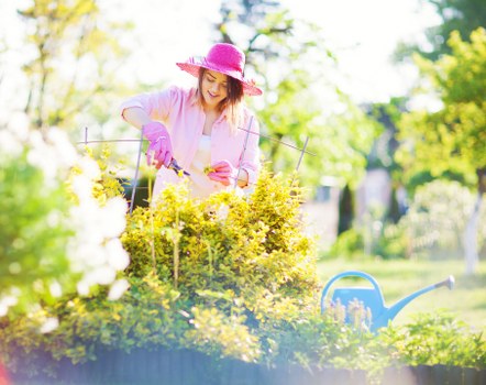 A woman wearing a pink sun hat and matching gardening gloves is tending to a vibrant flower bed in a well-maintained garden during daylight. She is using small gardening tools to carefully prune or plant in the lush, yellow-flowered shrub area, which is surrounded by other green foliage and flowering plants. The garden features a neatly trimmed lawn with dense grass, bordered by a variety of bushes and trees that provide shade and natural privacy. In the background, dappled sunlight filters through the leafy canopy, creating a warm, inviting outdoor environment typical of a landscaped garden in the Swiss Cottage area. A blue watering can is placed nearby on the grass, indicating ongoing outdoor maintenance work. The scene captures the essence of professional gardening services focused on plant care and garden design, aligning with the services offered by Landscapers Swiss Cottage in the local area. Overall, the garden presents a peaceful, carefully cultivated outdoor space suitable for relaxation and outdoor activities, reflecting a well-kept, residential landscape.