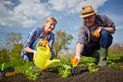 A young woman and an older man are working together in a well-maintained garden, both wearing plaid shirts, gloves, and cheerful expressions. They are tending to small, green vegetable seedlings in dark, freshly turned soil, with the woman holding a yellow watering can and the man using a small gardening tool. The garden features a neat arrangement of young plants with leafy green foliage, bordered by healthy grass and a backdrop of trees under a partly cloudy blue sky. The scene portrays outdoor gardening activity in a spacious, natural environment, typical of residential outdoor spaces in Swiss Cottage, with signs of careful planting and garden maintenance. The lighting indicates a bright, pleasant day suitable for garden work, reflecting professional gardening services that enhance outdoor spaces through planting, soil preparation, and garden care in the local area.