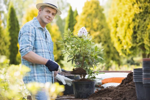 The image depicts a man working outdoors in a garden setting with lush greenery and tall trees in the background. He is wearing a wide-brimmed hat, a light blue checkered shirt, and gardening gloves while tending to a potted plant with white flowers. The garden scene features a well-maintained lawn area with rich soil and gardening tools nearby, such as small pots and a trowel, suggesting active planting or transplanting. In the foreground, there is a partially visible bed of soil, indicating ongoing garden work, while the background showcases a landscaped outdoor space with trimmed hedges and dense trees. The natural sunlight highlights the vibrant green foliage and the subtle colour contrasts between the dark soil, the bright flowers, and the garden accessories. The scene reflects a peaceful and professional approach to gardening in a typical UK outdoor environment, consistent with landscaping and lawn care services provided by companies like landscapersswisscottage.co.uk, located in or near Swiss Cottage, London. This image captures the essence of outdoor garden maintenance and planting activities suitable for a variety of garden sizes and styles within a residential or community setting.