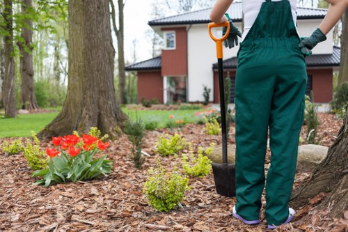 A person wearing green gardening overalls and gloves is standing outdoors in a landscaped garden, holding a small garden spade with an orange handle. The garden features a variety of elements, including a large mature tree with textured bark in the foreground, surrounded by mulch composed of wood chips. Close to the tree, there is a cluster of vibrant red tulips with green leaves, and small, neatly trimmed shrubs with bright green foliage. In the background, there is a well-maintained lawn leading up to a modern, two-storey house with a dark roof, red brick walls, and large windows. The garden appears to be during daytime with natural light illuminating the scene, and the overall environment looks clean and orderly, indicative of professional gardening and landscaping work by Landscapers Swiss Cottage in the local area. The scene conveys outdoor maintenance and garden care activities within a suburban residential setting in the UK, particularly around the Swiss Cottage postcode area, highlighting the company’s garden landscaping expertise.