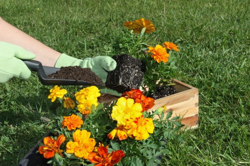 Client-centric landscaping services in Swiss Cottage