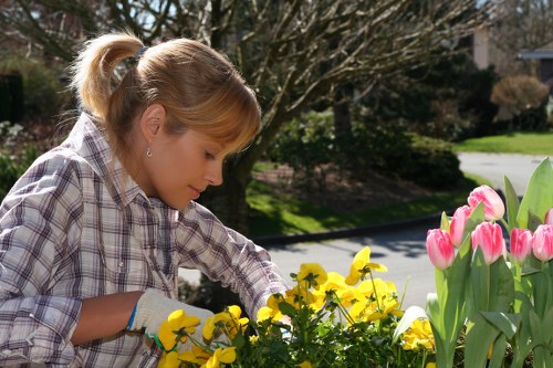 A young girl with blonde hair tied in a ponytail, wearing a plaid shirt and gardening gloves, is tending to a flower bed in a well-maintained garden. She is reaching out to touch or pick yellow flowers, possibly pansies or primroses, which are planted alongside pink tulips with tall green leaves. The garden features a neatly arranged lawn with lush, green grass in the foreground, bordered by a garden bed with dark soil and an assortment of blooming flowers. In the background, there are mature trees with bare branches, indicating early spring, along with shrubbery and a paved driveway that curves around the garden. Bright, natural sunlight illuminates the scene, casting gentle shadows, and creating a vibrant outdoor space typical of residential gardens in Swiss Cottage, London. Landscapers Swiss Cottage's gardening expertise is evident in the tidy, aesthetically pleasing arrangement of plants and the healthy condition of the flowers, contributing to the overall appeal of this landscaped outdoor area.