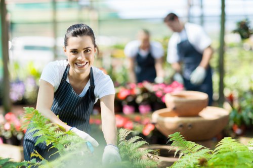 Professional hedge trimming service in Swiss Cottage